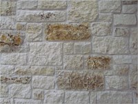 Austin Limestone